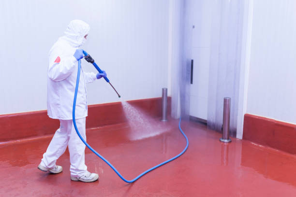 Best Solar Panel Cleaning  in Redding, CA
